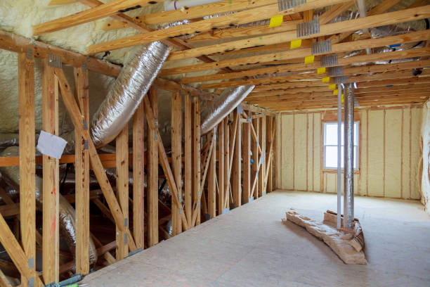 Best Eco-Friendly Insulation in Livingston, AL