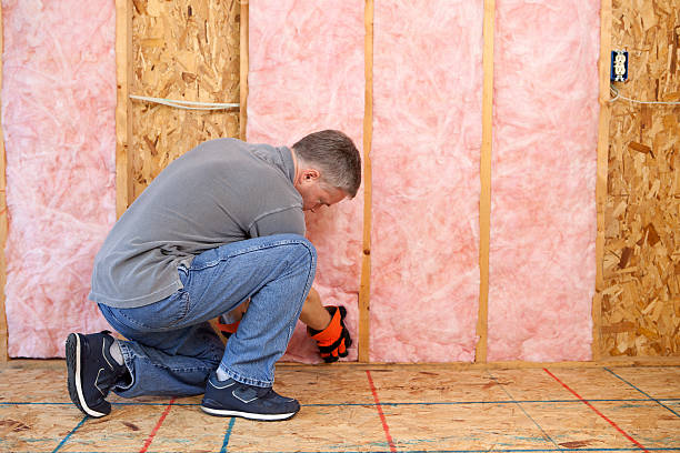 Types of Insulation We Offer in Livingston, AL