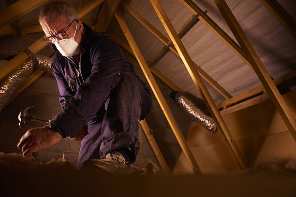 Professional Insulation Contractor in Livingston, AL